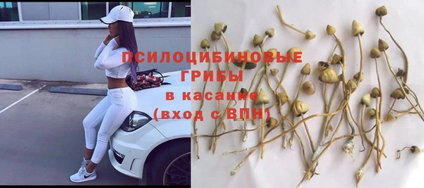спайс Аркадак
