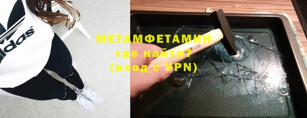шишки Арсеньев