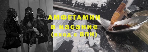 шишки Арсеньев