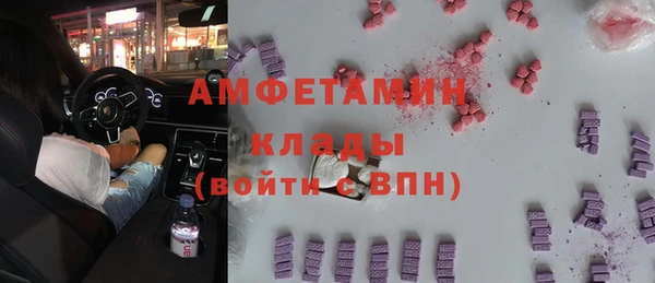 шишки Арсеньев