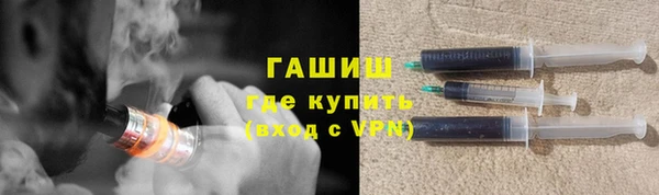 шишки Арсеньев