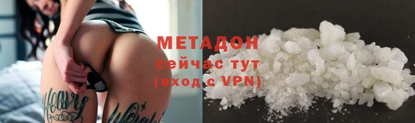 шишки Арсеньев