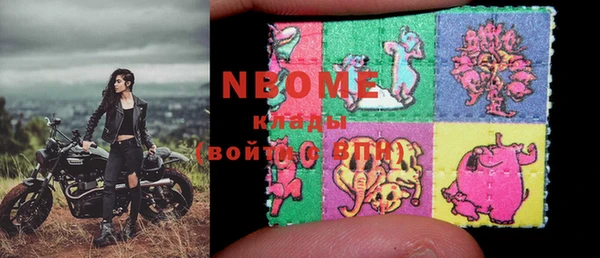 шишки Арсеньев