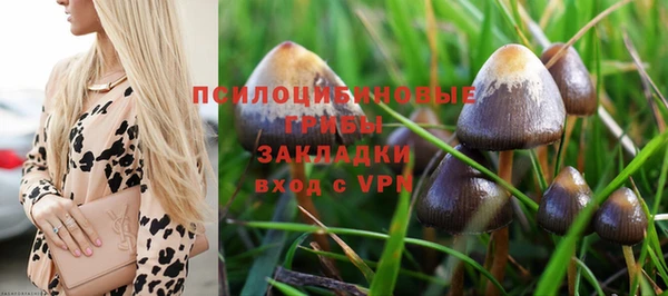прущий лед Армянск