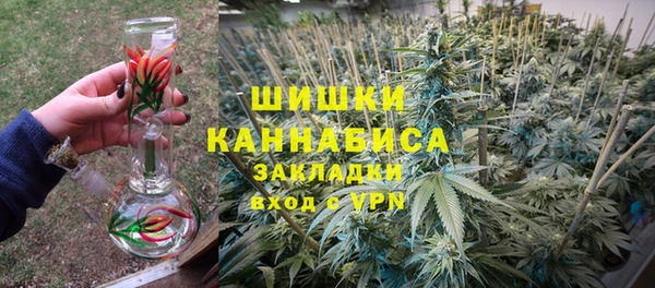 шишки Арсеньев