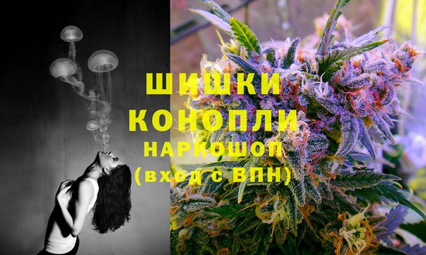 спайс Аркадак